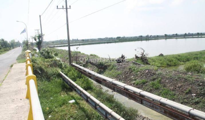 Tanah Raya Deandles Sidayu Gresik 8.1ha Akses Jalan Propinsi Cocok Dibangun Pabrik 1