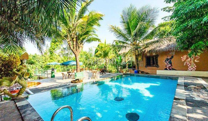 Beli Tanah Gratis Villa Ex Hotel Tegallalang Bali Luas 81 Are 12br Pool View Jurang 1