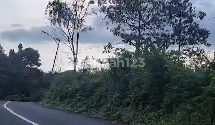 MURAH CEPAT DAPAT Tanah Sukorejo Prigen 3700m2 Nol Jalan Menuju Trawas Flash Sale 700rb/m2 Nego