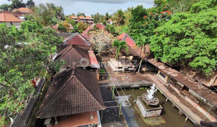 Buy Land Bonus Building Tanah Mas Ubud Bali 2600m2 Cheap Tourism Area Suitable for Villa Resto 2