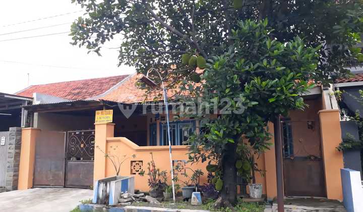 Rumah Medokan Asri Surabaya Timur 10x20 SHM Siap Huni Butuh Uang Harga Nego Rumah Medokan Asri Surabaya Timur 10x20 SHM Siap Huni Butuh Uang Harga Nego