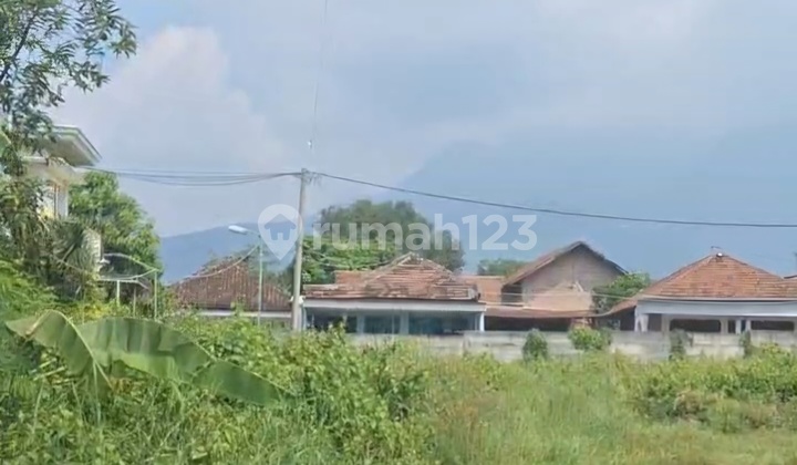 Tanah Mandurono Ngoro Mojokerto SHM 2109m2 Ngantong Nol Jalan Raya Gempol - Mojokerto Murah