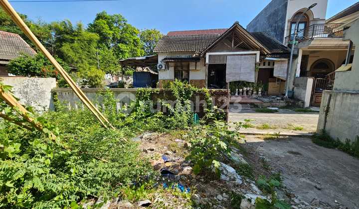 Hitung Tanah Saja Rumah Bumi Wana Lestari Sambikerep Surabaya Barat 10X12 SHM Murah Belakang Alam Galaxy