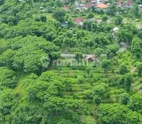 Kavling Cliff Front Seraya Karang Asem Bali Last Unit 690m2 Shm Forever Ocean View Rare Item 1