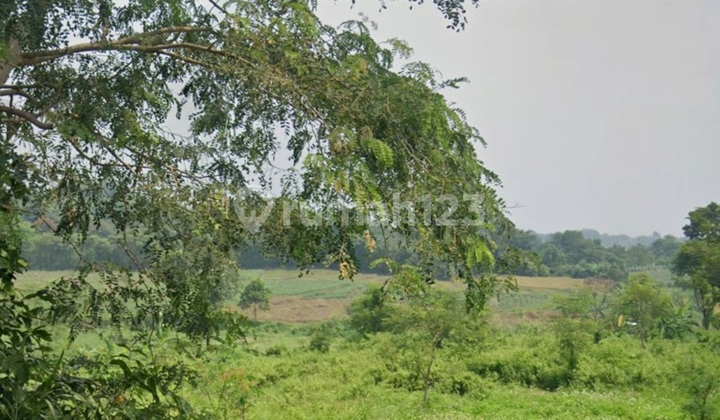 Dijual Tanah Strategis Nol Jalan Raya Pacet - Harga di Bawah Pasaran Dijual Tanah Strategis Nol Jalan Raya Pacet - Harga di Bawah Pasaran