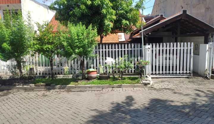 :fire: Investor Alert - Land 300M² Near Petra Land Price Only 7Jtan/M² !!