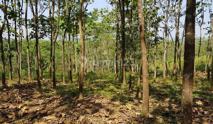 Tanah Lahan Industri Di Subang Luas 150 Hektar Bagus 2