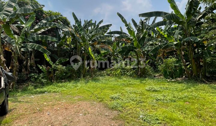 Tanah Kemang 2 Ha Dijual Murah Di Bawah Njop Jakarta Selatan