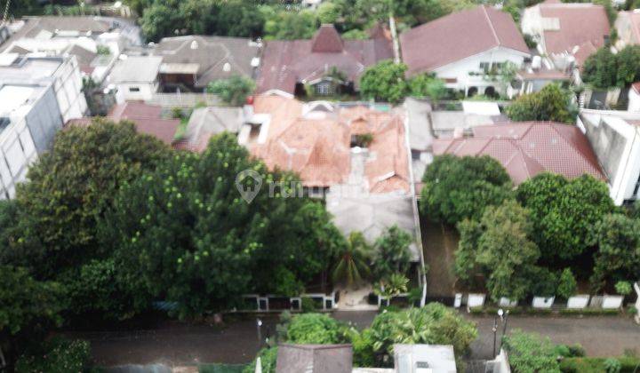 Rumah Asri Terawat Luas 950 M2 Di Ragunan Jaksel Best Price Jarang Ada 2