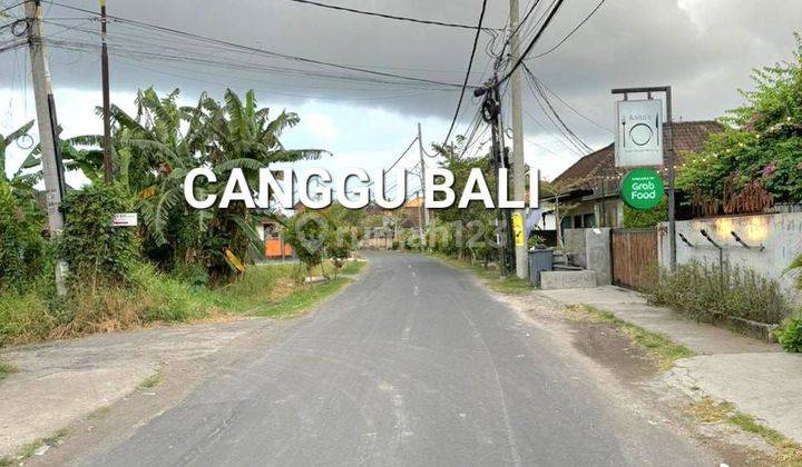 Tanah Kavling Pinggir Jalan di Canggu Bandung Kuta Utara Bali 4300 m² SHM Bagus 1