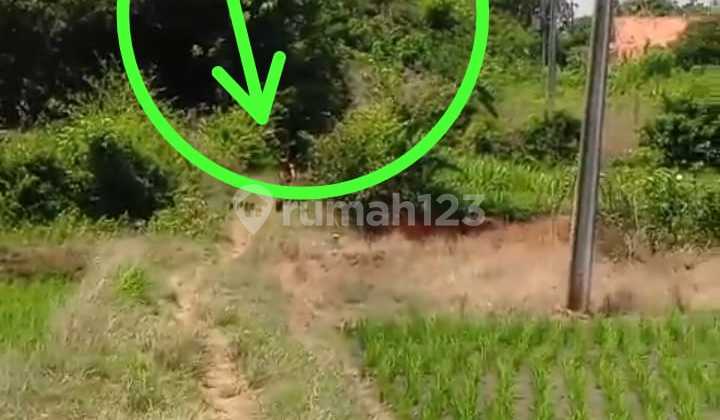 Rice Field Land 4.5 Ha 1 Million/M² Near Subang Smartpolitan &amp; Byd