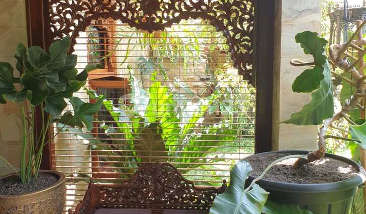 For Sale Elite House Bukit Cinere Indah 250m² SHM IMB