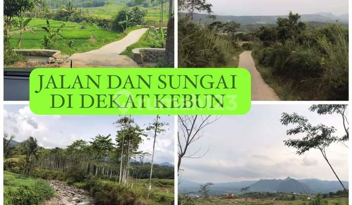 Jual Tanah 2 Ha Sukamakmur Bogor Timur Murah di Bawah Pasaran Jual Tanah 2 Ha Sukamakmur Bogor Timur Murah di Bawah Pasaran