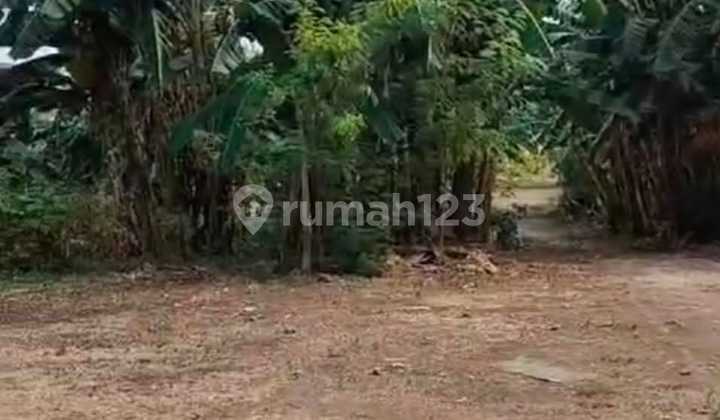 Dijual Tanah 2 Hektar Strategis Buncit Mampang Jakarta Selatan