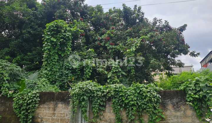 Jual Cepat Tanah SHM Cilandak Barat 739 M² Hadap Utara
