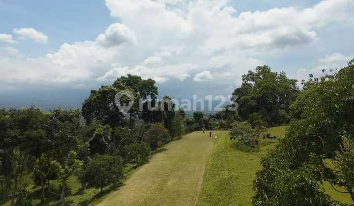 Quick Sale: 3.5 Ha Plantation Land + Villa in Cijeruk, Bogor Quick Sale: 3.5 Ha Plantation Land + Villa in Cijeruk, Bogor