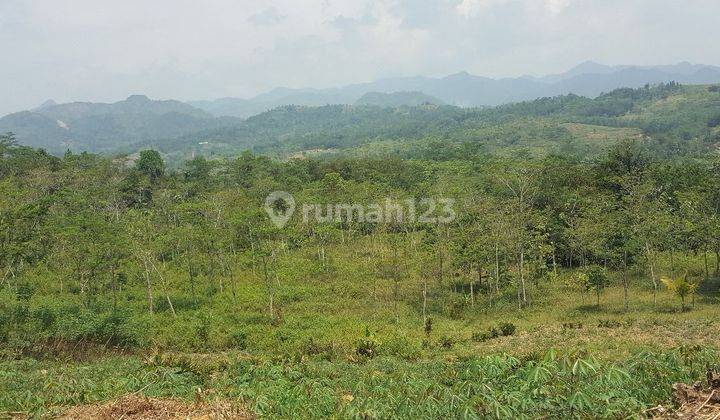 Tanah Pabuaran Bogor dekat Puncak 2 luas 30 Ha Bisa Beli Setengah 2