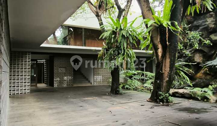 Disewa Rumah Mewah Andra Matin Di Tanah Teduh Jati Padang 2