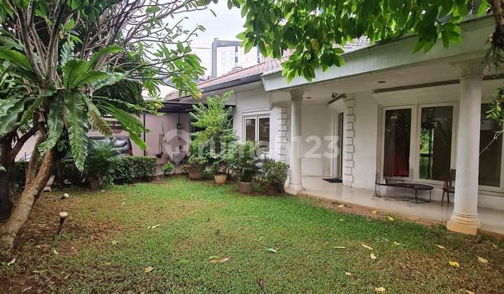 For Sale Rumah Tua 1 Lantai LT 776 Kemang Jakarta Selatan