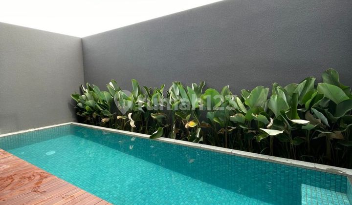 Rumah Mewah Brand New 3 Lantai Kemang SHM Pool Rumah Mewah Brand New 3 Lantai Kemang SHM Pool