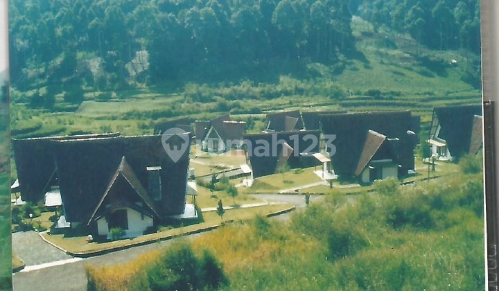 Tanah Cocok Untuk Usaha Maupun Villa di Ciwidey Tanah Cocok Untuk Usaha Maupun Villa di Ciwidey