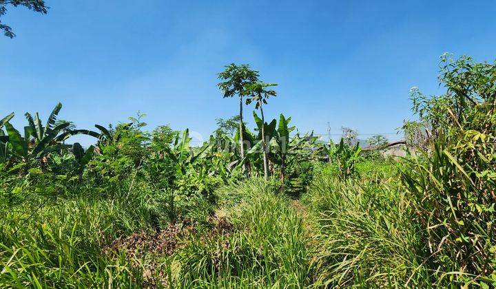 Tanah Zona Abu Bisa Akses Kontainer 40 Feet di Sayap Cipatik 2