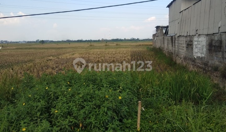 Tanah Strategis Dekat Pintu Tol Soroja di Soreang Cipatik