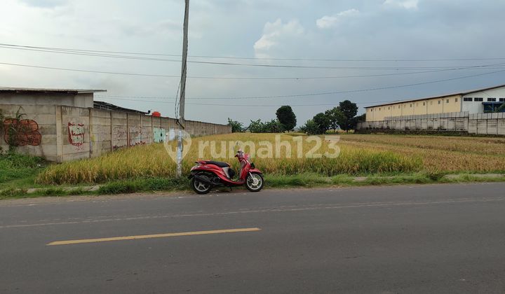 Tanah Dekat Tol Jalak Harupat Area Industri di Soreang Cipatik Tanah Dekat Tol Jalak Harupat Area Industri di Soreang Cipatik