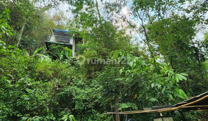 Tanah Cocok Bangun Cafe Atau Hotel View Sawah di Soreang Cipatik 2