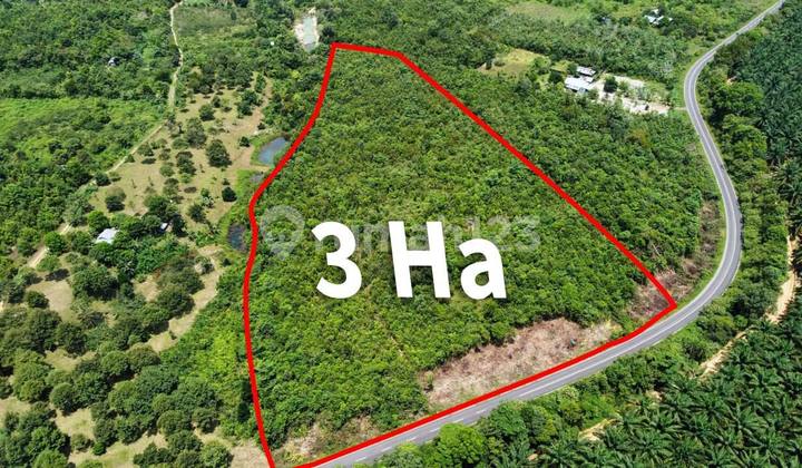 Strategic wide garden land of 3 hectares in Bangka Belitung