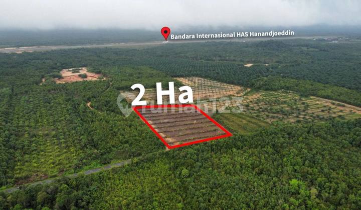 Dijual Tanah 2 Ha dekat bandara Hanandjoeddin Belitung