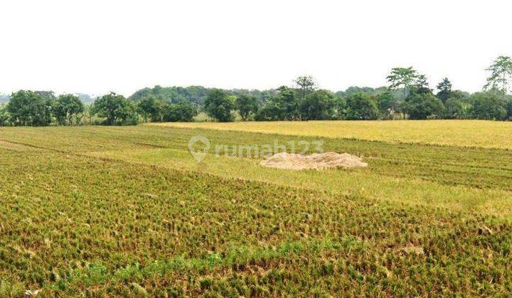 Tanah Komersil Luas 3.8 Ha Di Patumban Kabupaten Subang  2