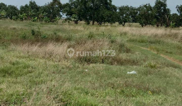 Dijual tanah murah industri di subang 3000 ha nego cincai 7