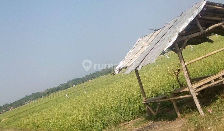 Dijual tanah murah industri di subang 3000 ha nego cincai 8