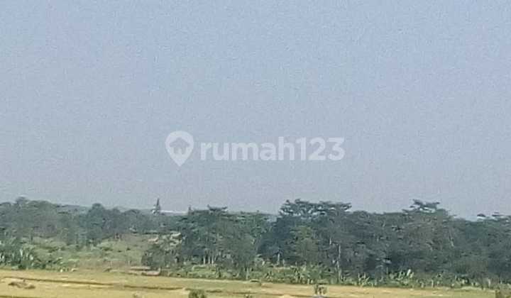 Dijual tanah di subang zona industri akses kontener nego 2