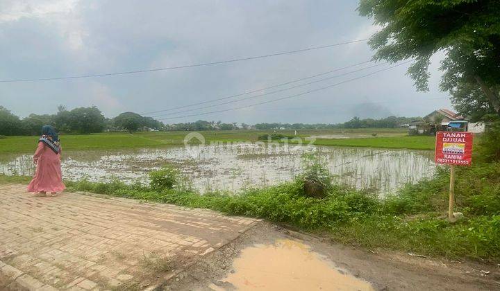 Dijual Cepat Tanah Hook Pinggir Jalan Langsung Hadap Jalan Desa Kidongdong 1