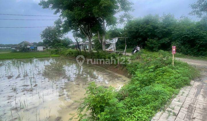 Dijual Cepat Tanah Hook Pinggir Jalan Langsung Hadap Jalan Desa Kidongdong 2