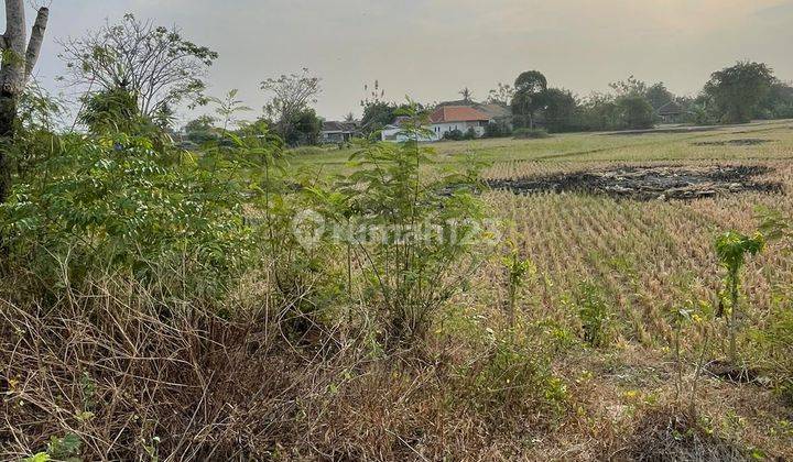 Tanah Pinggir Jalan Siap Bangun Termurah Desa Kidongdong 2