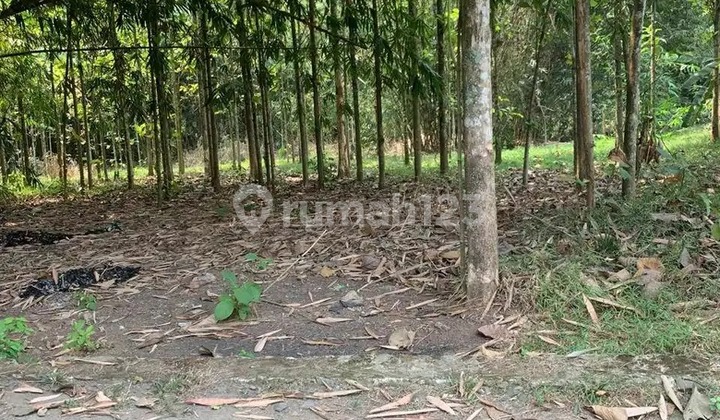 LAND FOR SALE IN TAPOS, TIGARAKSA DISTRICT, TANGERANG REGENCY, BANTEN