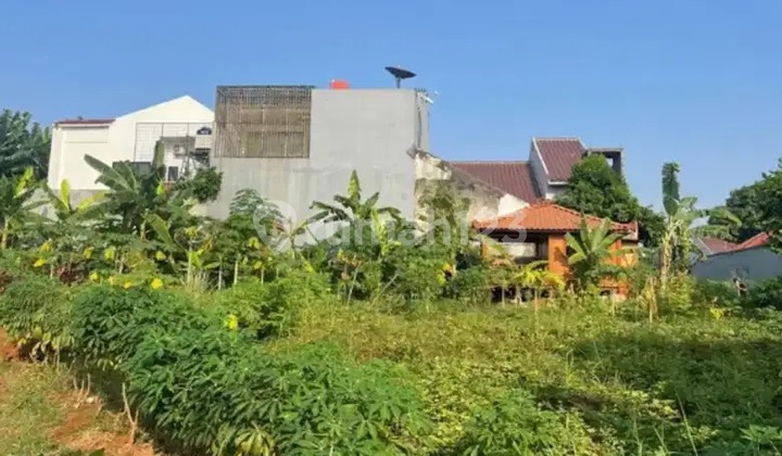 Dijual Lahan Hoki Ngantong Kavling Meruya Selatan Dijual Lahan Hoki Ngantong Kavling Meruya Selatan