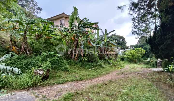 Tanah Di Bandungan Villa Hollywood  2