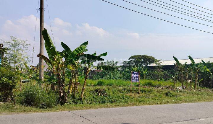 Tanah bagus siap bangun cocok utk gudang, perumahan cluster 1