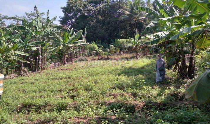 Lahan di Area Rangkas Bitung, Harga Masih Bisa Nego, Lokasi Oke 1