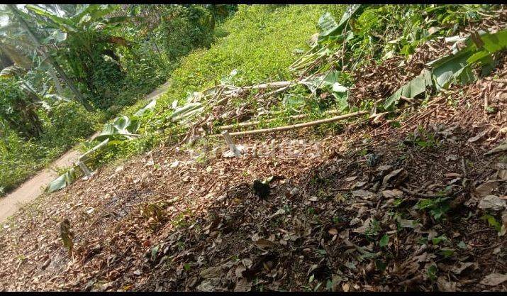 Lahan Di Kp.tegal Lebak Area Rangkas Bitung, Dekat Lokasi Wisata 2