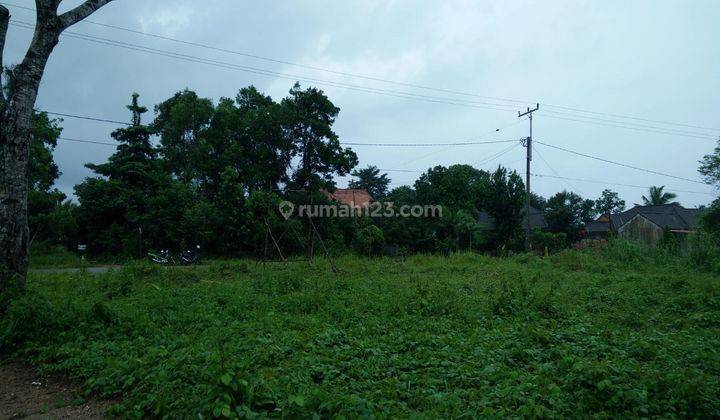 Lahan di Area Pangkal Pinang, Harga Murah, Tanah Luas, Lokasi Strategis 1
