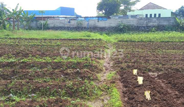 Strategic Land Ready to Build, Secure Legality