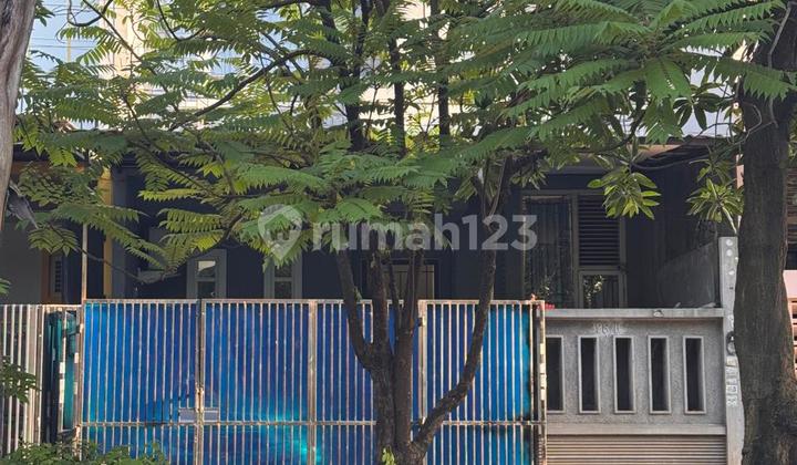 For Sale House on Jl Mawar Cengkareng West Jakarta