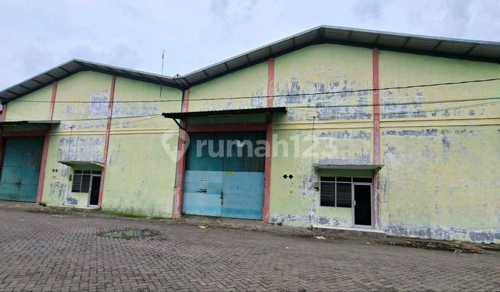 Gudang Siap Pakai di Pergudangan Sinar Buduran