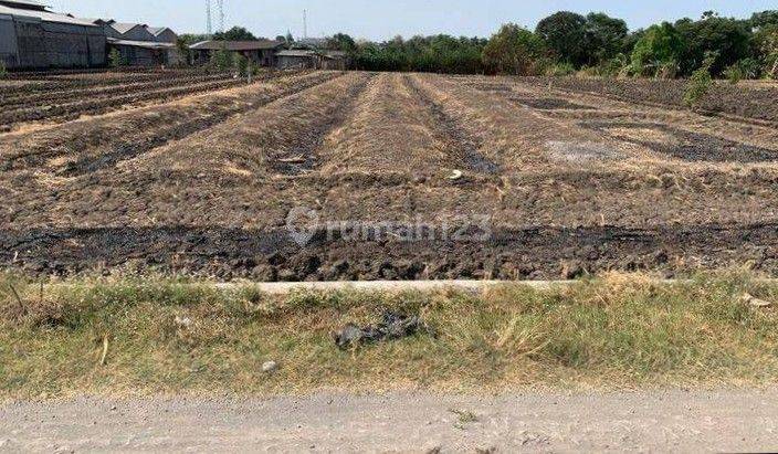 Tanah Industri Siap Bangun Dalam Kawasan Ngoro Industrial Park 1