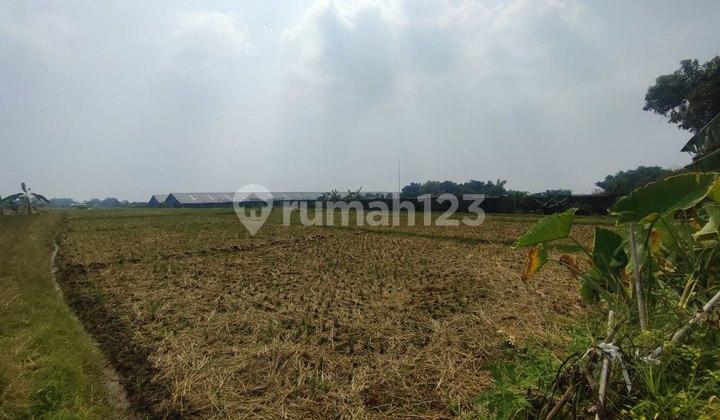 Dijual Lahan Industri Mojosari Kutorejo Mojokerto Dijual Lahan Industri Mojosari Kutorejo Mojokerto